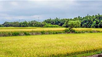 竹縣免費營養午餐加碼10元 學生每週再享有機米