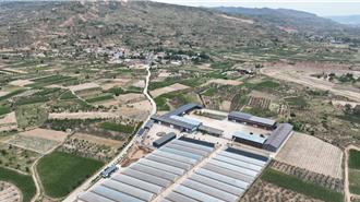 天水麻辣烫爆红   復旦大学见证背后辣味赢家