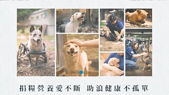 法國皇家 發起捐糧助浪浪