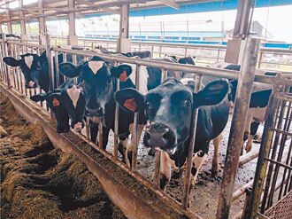 生生喝鲜奶 何必忧配送