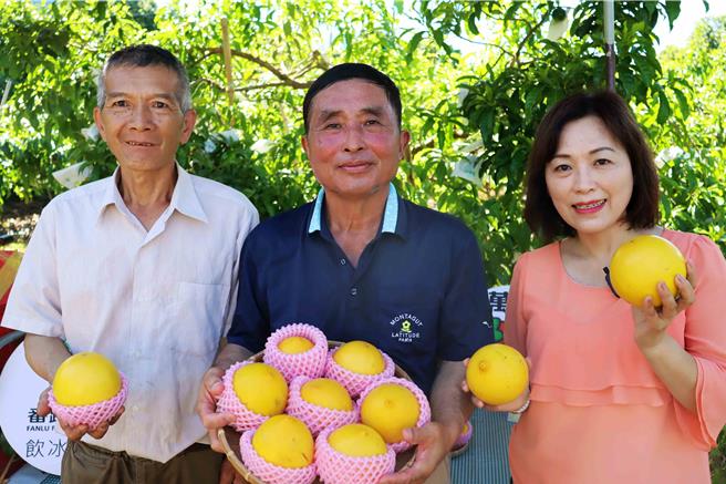 黃金果是嘉義縣番路鄉新興農產，近日首批黃金果陸續收成，番路鄉農會搶先跟消費者分享。（呂妍庭攝）