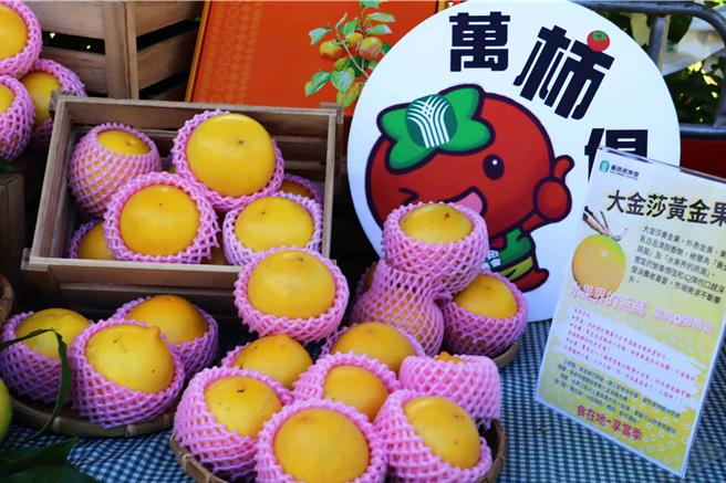 黃金果是嘉義縣番路鄉新興農產，目前種植面積已達百公頃以上，獨特風味和賣相，也被貿易商相中，外銷到香港和新加坡。（呂妍庭攝）