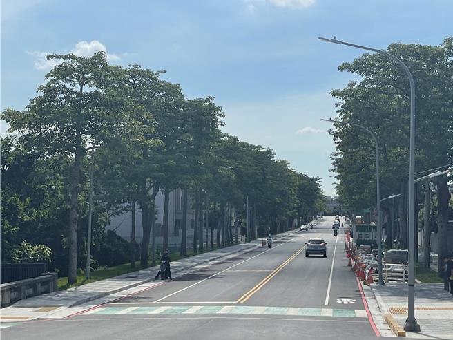 中央大學中大路人行環境與道路改善，保留木棉樹。（呂筱蟬攝）