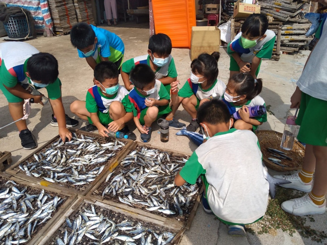 澎湖县风柜国小食鱼教育+环保灯饰跨域美感课程。(照片/教育部提供)