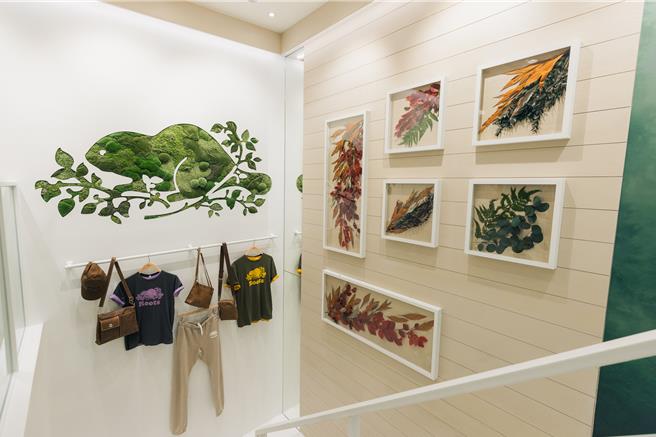 Roots西门旗舰店展出全台首次出现的植栽海狸LOGO墙。（Roots提供／朱世凯台北传真）