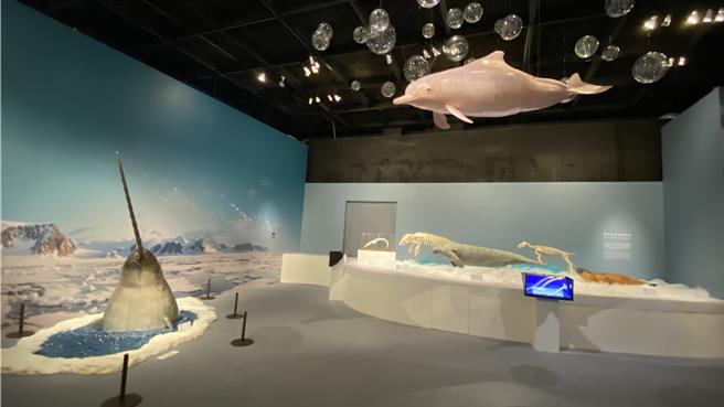 科博馆推出《气候行动－全球沸腾时代》特展10日举办开幕仪式，展出气候变迁带对人类生活及环境的衝击，提出如何因应与调适，并提醒社会大眾未来对永续要有更积极行动。（陈淑芬摄）