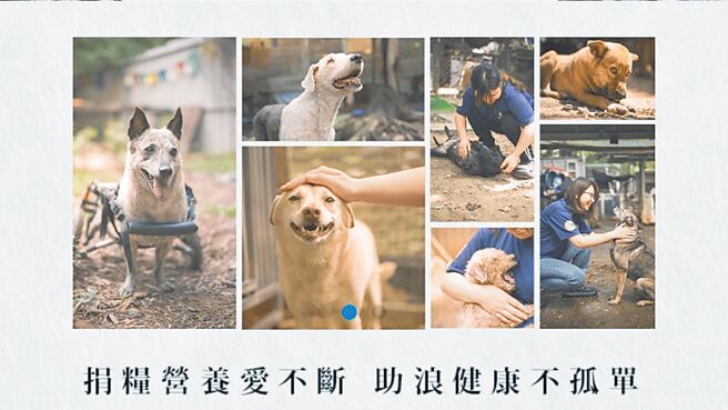 法國皇家攜手momo購物網，今年擴大公益力量守護老弱病殘浪浪，捐糧至犬山居。圖／法國皇家提供