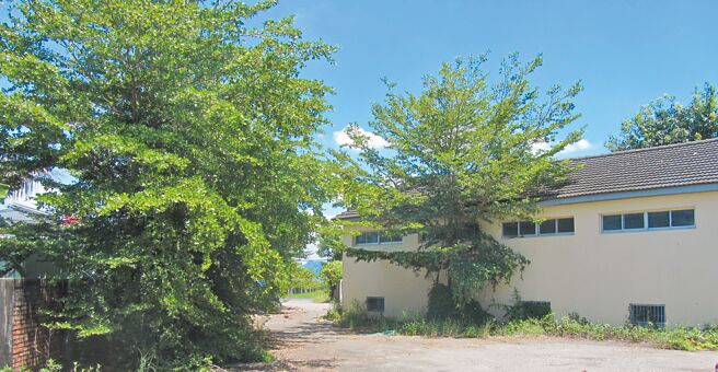 美濃區公所將閒置的龍山菸葉輔導站（見圖）修繕，打造成龍肚學區第1間日間照護中心，預計明年2月完工，可望減輕照顧者家庭壓力。（林雅惠攝）