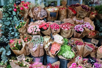 花藝美學環境友善兼顧 永續花藝海綿問世
