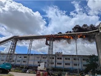 新營台紙木片輸送設備成火龍 濃煙竄天！消防高空滅火