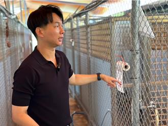 動物之家犬五舍用帆布當屋頂 高溫飆破43度惡臭令人窒息