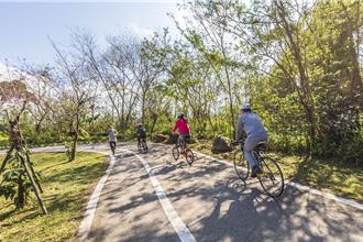 再砸57億！全台自行車道優化「2大重點」進度曝