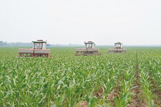 陸7月超長熱害 恐威脅糧食生產