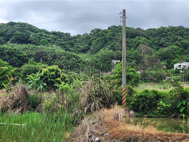 会勘现场可见缆线遭剪断。（新北市议员郑宇恩办公室提供）