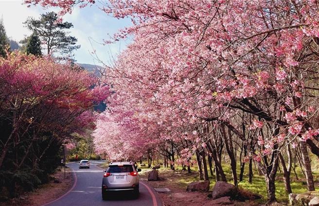 雪管处呼吁民眾申请国家公园入园时均应使用正确个人资料，严禁使用不实或冒用他人资料申请。（雪管处提供／谢明俊苗栗传真）