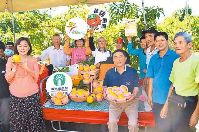嘉义县番路乡近年推广种植黄金果有成，10日番路乡农会总干事赵幸芳（前排左）、理事长庄振基（前排中坐者）和多位果农一起推销正值产季的黄金果。（吕妍庭摄）