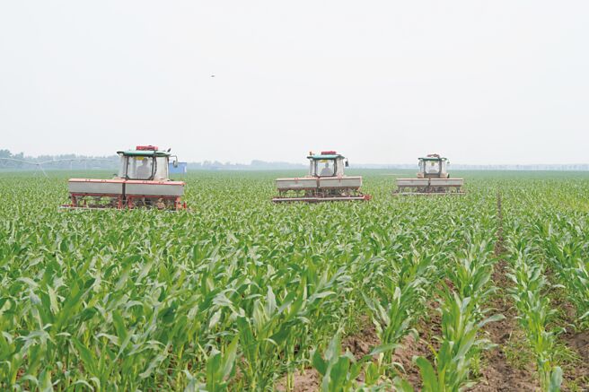 大陸氣象部門警告，極端天氣將持續威脅糧食生產。（新華社）