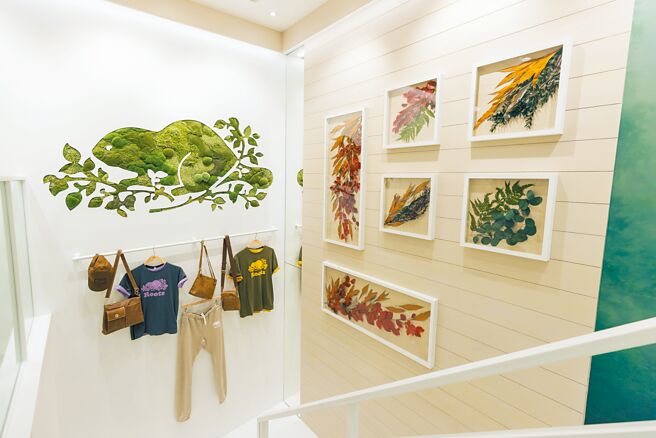 Roots西门旗舰店展出全台首次出现的植栽海狸Logo墙。（Roots提供）