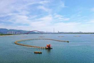 浙江麗水「雲和蛟龍」開拓旅遊   文化遺產生動活化