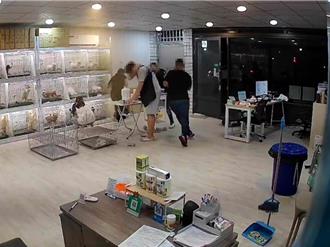 宠物店内砍断男店员手臂     2恶煞「无杀人犯意」二审改判重伤害