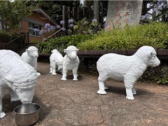 台電「綿羊軍團」亮相清境農場 共同宣導環境永續