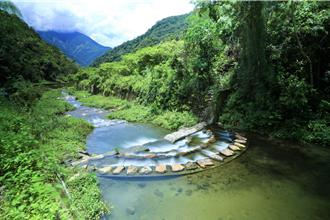 治山防災獲1特優1優等 林保署南投分署連17年獲獎