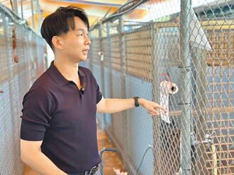 北市動物之家又熱又臭 議員實測43℃