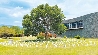 葬儀達人：樹葬恐入土未安