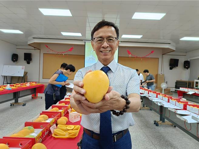 埔心乡农会总干事张旗闻说，现在正是芒果盛产季，送礼自用两相宜，邀请大家一起来品嚐芒果香甜好滋味。（叶静美摄）