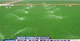 豐收得來不易！陸夏糧產量創新高  單產提升是主因