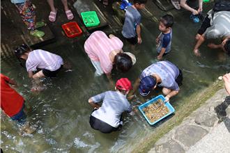 頭份市下興社區洗衫坑打造生態保育區 重溫童年摸蜆仔兼洗褲