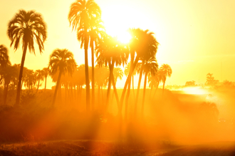 「大暑」是大凶之日！1生肖2星座小心出事