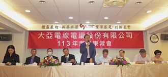 银行团金援 大亚扩大建置储能系统