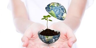 缺電議題發燒 綠能族群抗震