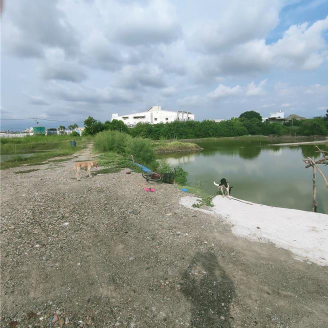 台南市蔡姓老妇人疑不慎掉落安南区鱼塭中，遭打捞上岸已无呼吸心跳，现场遗留单车。（读者提供／程炳璋台南传真）