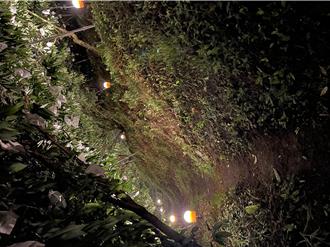 水蜜桃產季將至 果園點亮旋轉式避蛾燈有效防害蟲