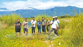 新故鄉動員令》池上生態淨土 富興社區路殺止步