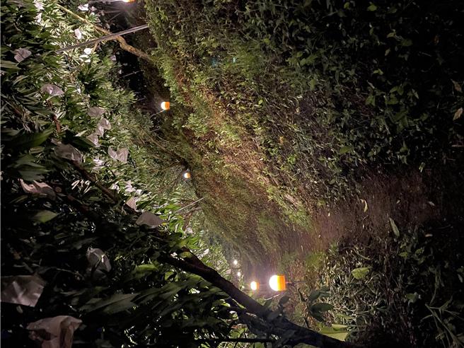 农业部农业改良场利用吸果夜蛾趋避黄光的特性，研发「旋转式避蛾灯」，成功使果实危害率降至5％。（农业部提供／蔡佩珈台北传真）