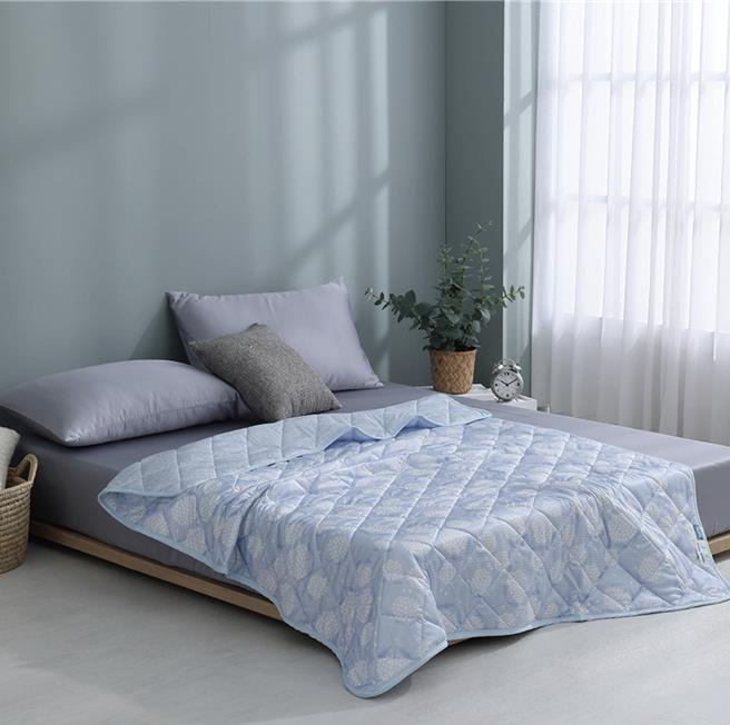 Global Mall新北中和店推夢特嬌「膠原蛋白抗菌涼感被」，原價4980元、會員獨享價790元。（Global Mall提供／朱世凱台北傳真）