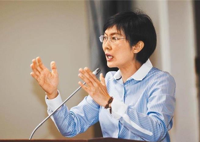 民進黨高雄市立委林岱樺。（本報資料照片）