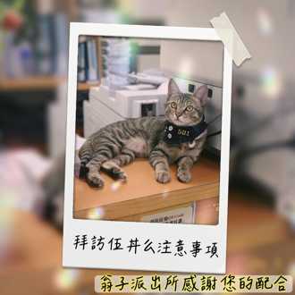 太紅啦！萌貓警長「伍丼么」吸粉無數 警急訂「嚕貓守則」籲遵守