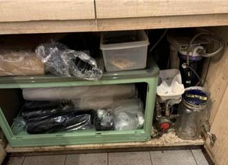 北市東區「滿月甜甜圈」老鼠亂竄 遭罰18萬沒在怕！