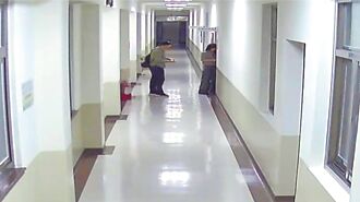 立委成了贼 台式民主悲哀