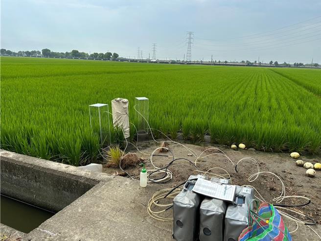 云林县政府为减少农业温室气体排放，推动「益生菌环境友善田」，15日县计画处表示经半年实验，友善田温室气体明显减量，未来将寻求企业认养，帮助更多农民投入。（云林县政府计画处提供／张朝欣云林传真）
