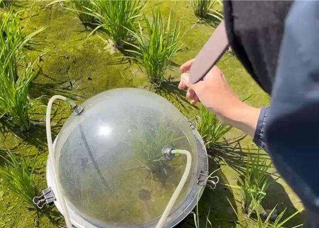 云林县政府推动「益生菌环境友善田」，15日县计画处表示此计画的测量方式为密闭罩盖法，连结二氧化碳、甲烷、氧化亚氮气体分析仪，分别计算施用益生菌制剂与未施加的惯行农田，其稻作生长期的温室气体总排放量。（云林县政府计画处提供／张朝欣云林传真）