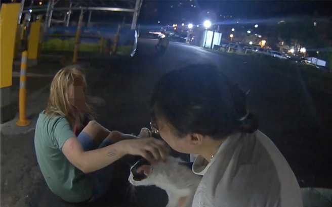 警方成功協助一名英國女子找回她失蹤的寵物貓「點點」。（圖／警方提供）