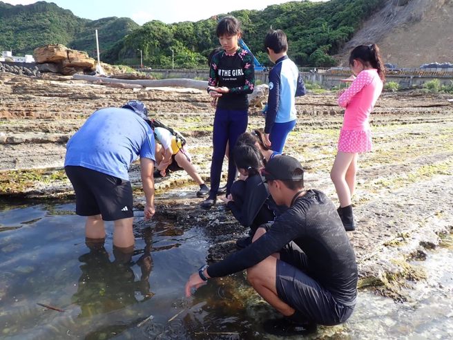 潮间带生态观察。(照片/臺北市政府教育局提供)