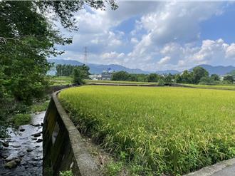 龍潭三坑灌溉系統9月動工 農民迎來新希望