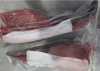 美國進口牛舌驗出「弓蟲」 專家：進入人體全身到處跑