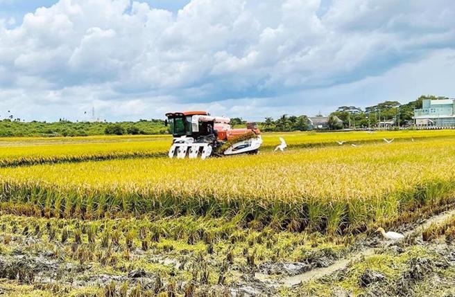 立法院16日決議通過公糧收購價格調漲。（報系資料照）